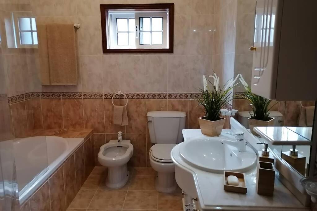 Refugio Do Seixoso Villa Celorico De Basto Dış mekan fotoğraf