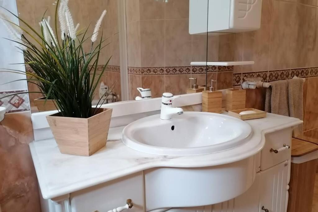 Refugio Do Seixoso Villa Celorico De Basto Dış mekan fotoğraf